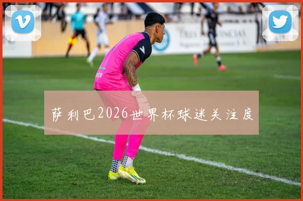 萨利巴2026世界杯球迷关注度