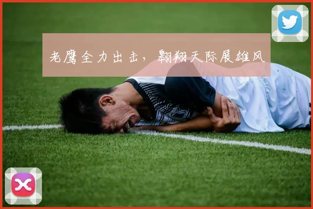 老鹰全力出击，翱翔天际展雄风
