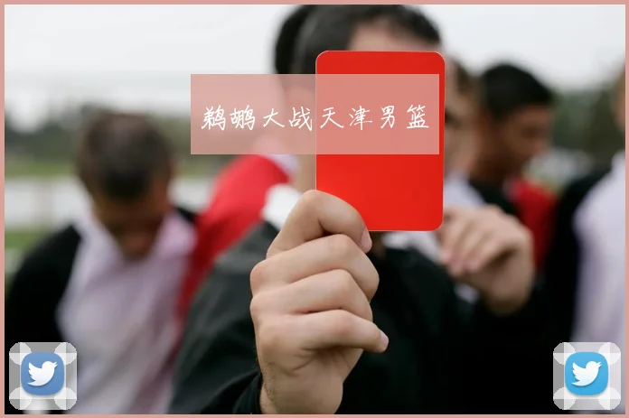 鹈鹕大战天津男篮