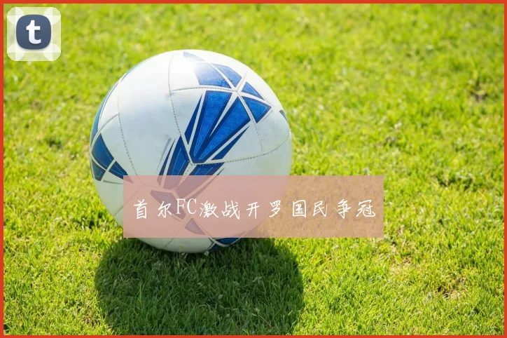 首尔FC激战开罗国民争冠