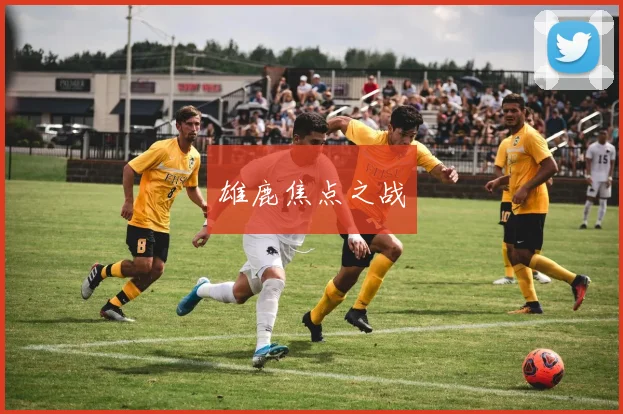 雄鹿焦点之战