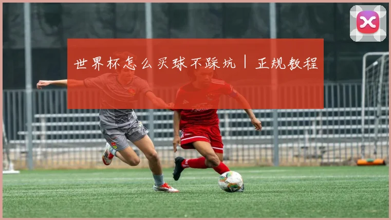 世界杯怎么买球不踩坑｜正规教程