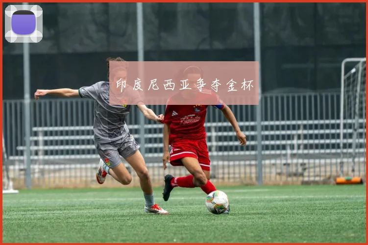 印度尼西亚争夺金杯