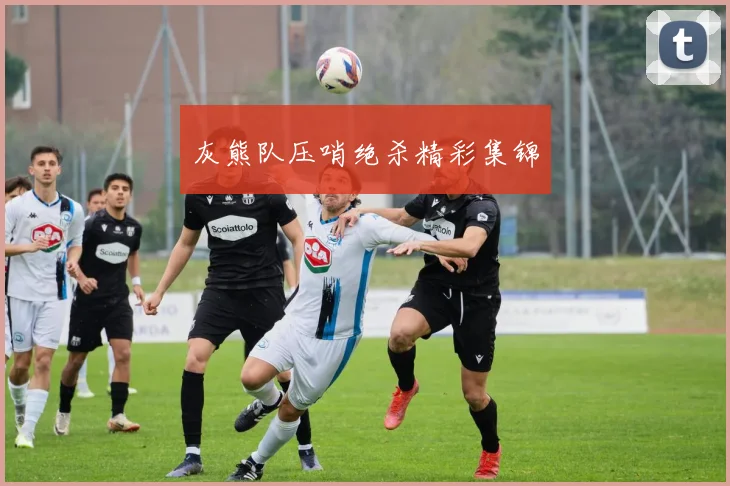 灰熊队压哨绝杀精彩集锦