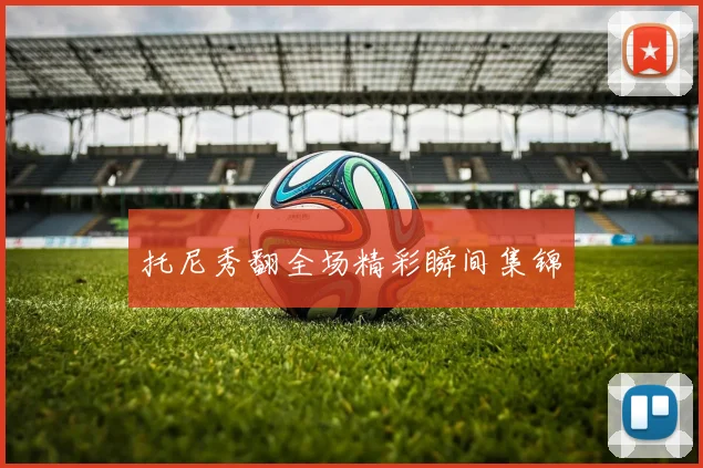 托尼秀翻全场精彩瞬间集锦