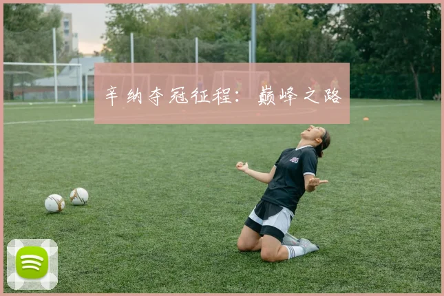 辛纳夺冠征程：巅峰之路