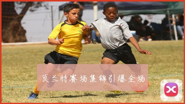 莫兰特赛场集锦引爆全场