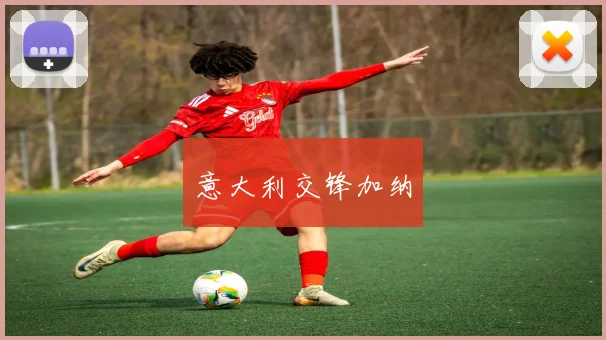 意大利交锋加纳
