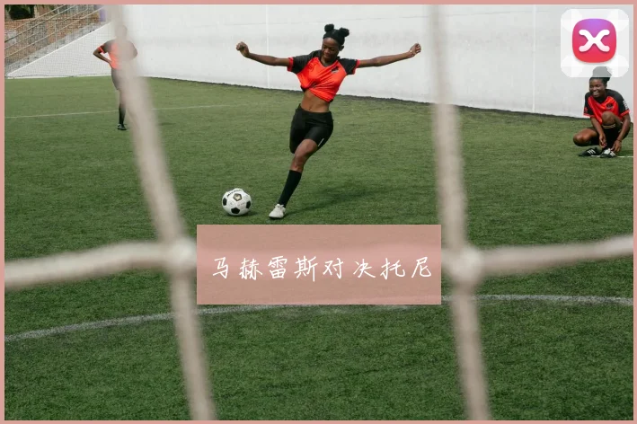 马赫雷斯对决托尼