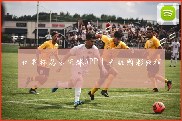 世界杯怎么买球APP｜手机购彩教程