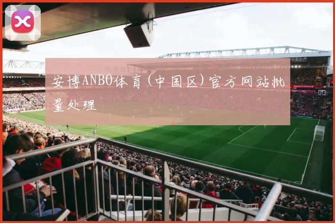 安博ANBO体育(中国区)官方网站批量处理