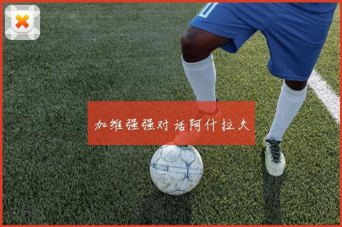 加维强强对话阿什拉夫