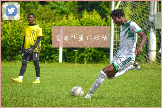 首尔FC豪门对话