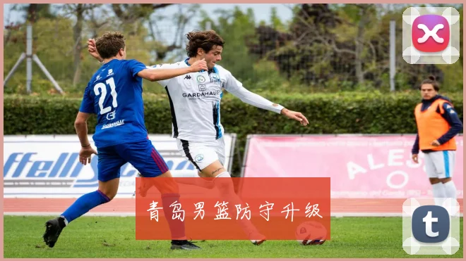青岛男篮防守升级