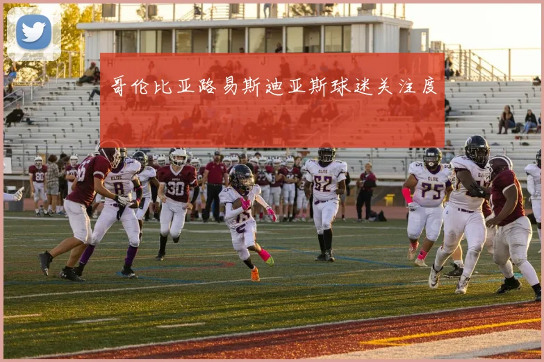 哥伦比亚路易斯迪亚斯球迷关注度
