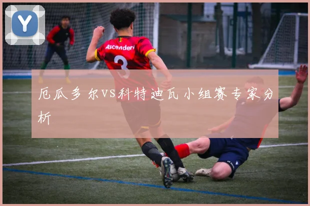 厄瓜多尔vs科特迪瓦小组赛专家分析