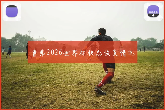 鲁弗2026世界杯状态恢复情况