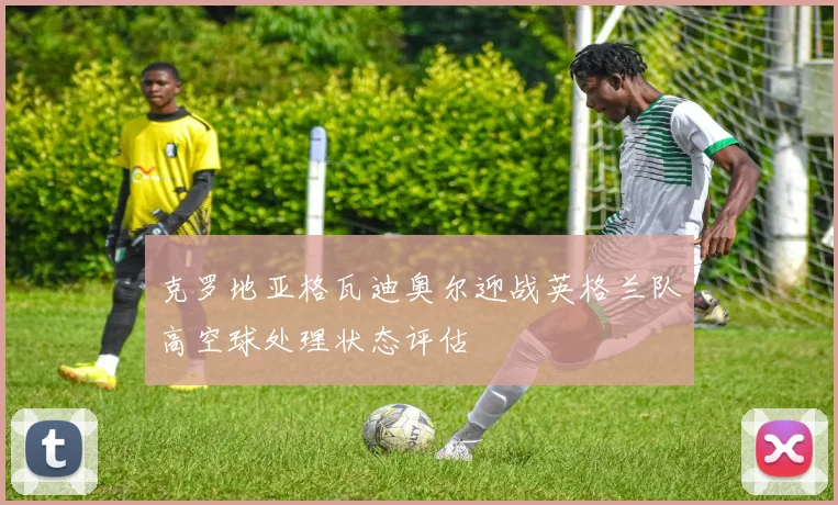 克罗地亚格瓦迪奥尔迎战英格兰队高空球处理状态评估