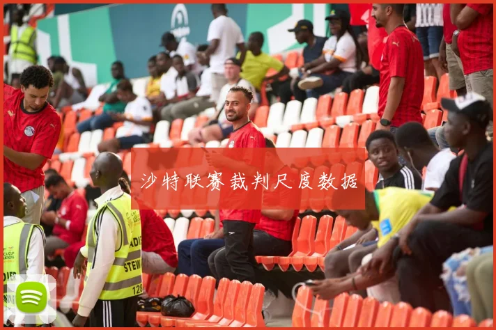 沙特联赛裁判尺度数据
